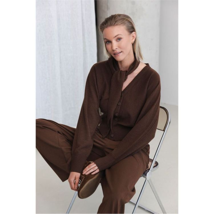  T463 BROWN