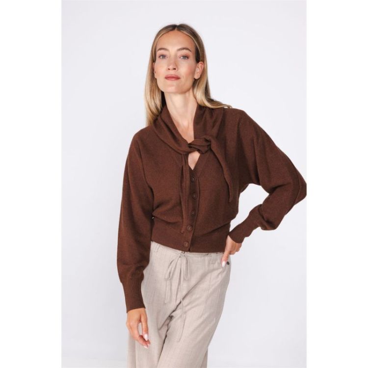  T463 BROWN