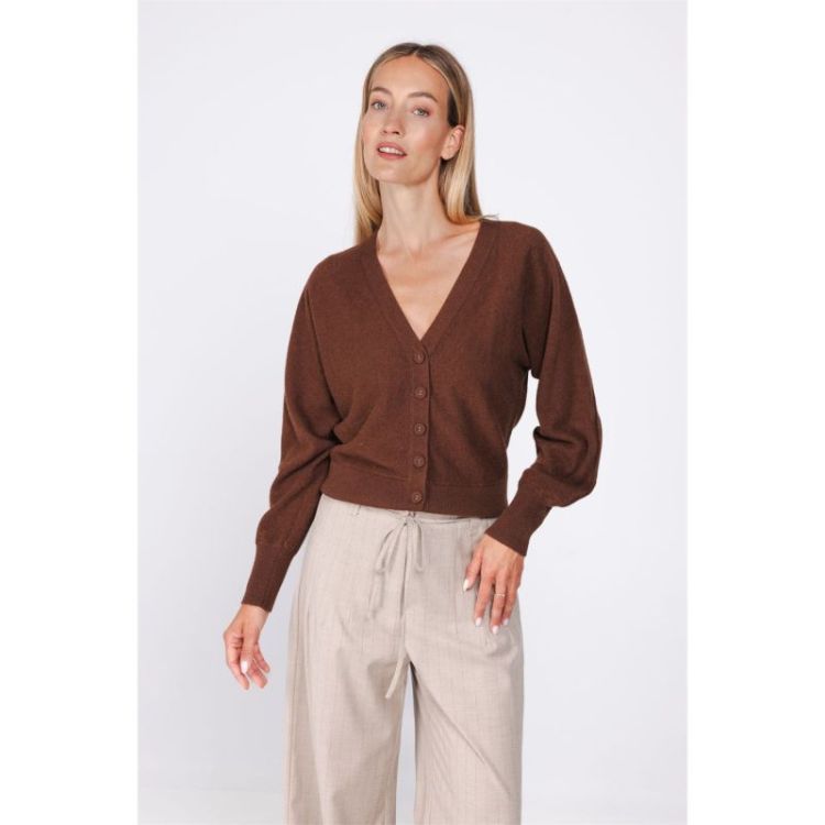  T463 BROWN