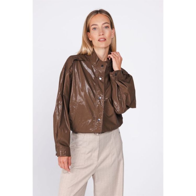  T463 BROWN